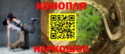 тгк Будённовск