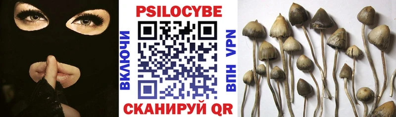 купить   Вятские Поляны  Галлюциногенные грибы Cubensis 